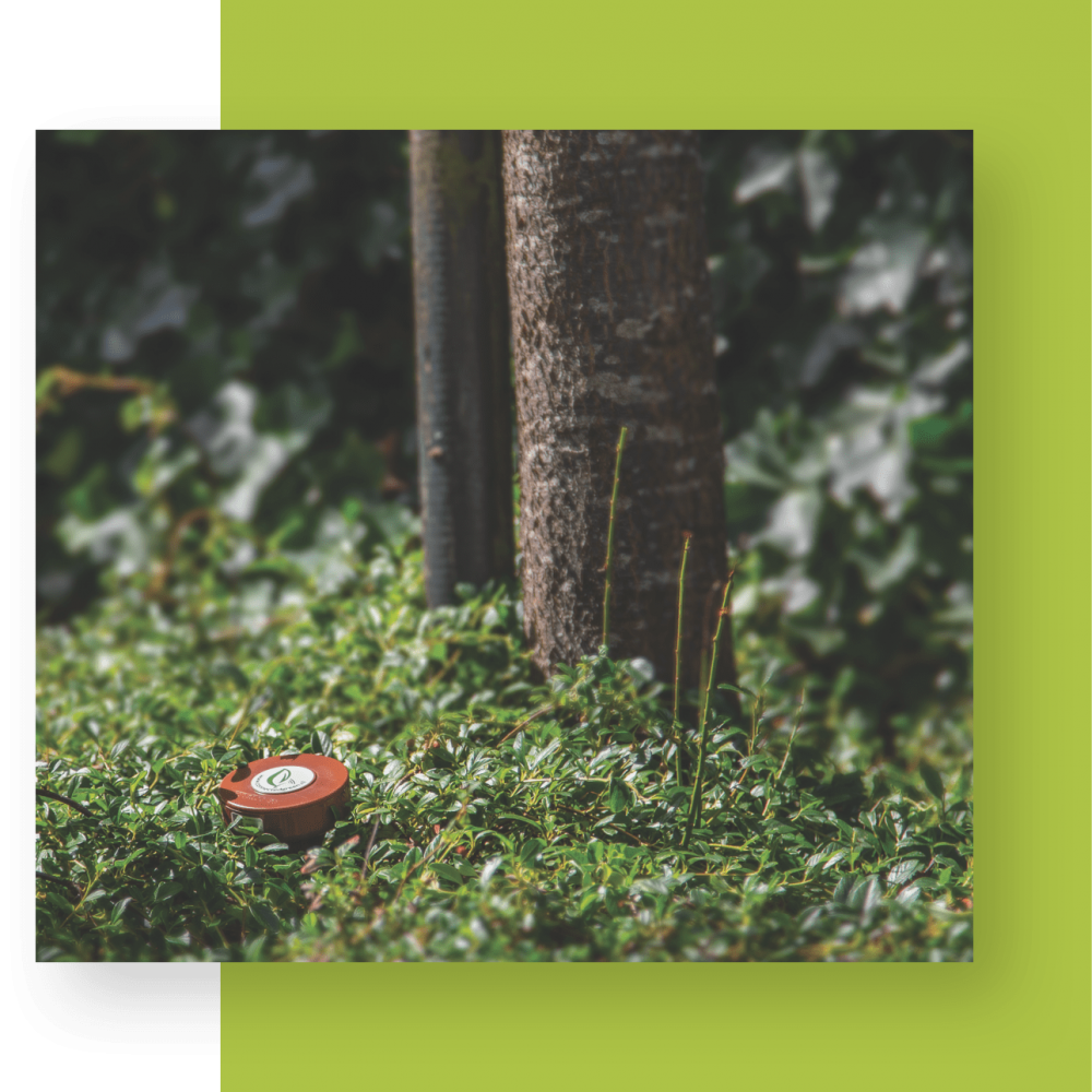 ConnectedGreen Bodemvochtsensor
