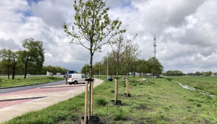 Inboeten bomen case Ter Riele B.V.