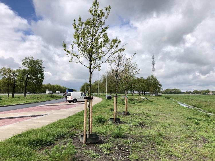 Inboeten bomen case Ter Riele B.V.