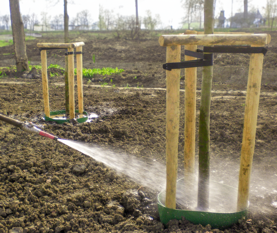 watergift nieuwe bomen